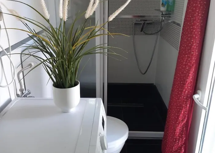 House Comfort 扎马迪